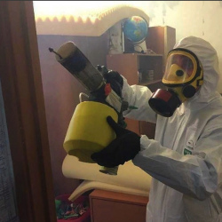 Уничтожение клопов в квартире. Некрасовка